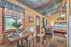 Updated Studio Cabin in Ozark w/ Yard & Mtn View