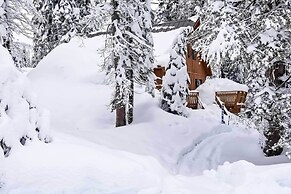 Near Hiking & Skiing: Bear Valley Cabin!