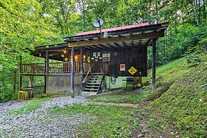Tellico Plains Cabin - 25 Acres, Backyard Creek!