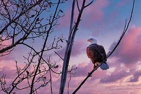 Charming Lakefront Cabin w/ Deck & Fire Pit!