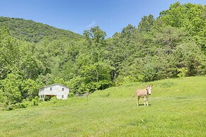 Mtn Views & Epic Sunsets: Private Weaverville Home