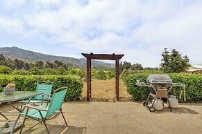 Escondido Vineyard Estate: Walk to Wineries!