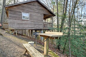 Pet-friendly Smoky Mountain Cabin: Hunt & Fish!