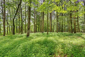 Serene Cabin w/ Riverfront Views & Access!