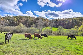 Stunning Fletcher Home: Hot Tub + Fire Pit!