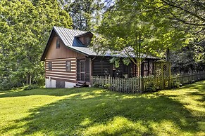 Black Mountain Cabin w/ Screened Porch + Views!