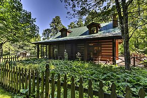 Black Mountain Cabin w/ Screened Porch + Views!