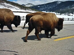 Cozy Immaculate Cabin - Peaceful Retreat!