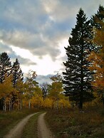 Cozy Immaculate Cabin - Peaceful Retreat!