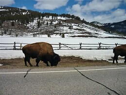 Cozy Immaculate Cabin - Peaceful Retreat!