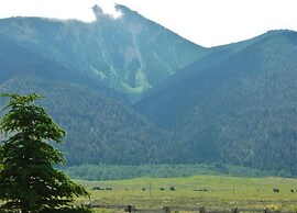 Cozy Immaculate Cabin - Peaceful Retreat!