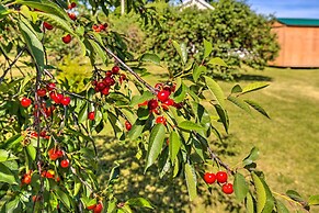 Finger Lakes Farm Retreat: Walk to Wineries!