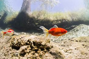 Charming Santa Rosa Home w/ Mountain Views & Porch