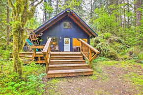 Peaceful Wooded Cabin By Mt. Baker Ski Area!