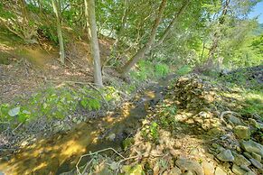 Serene Canton Home w/ Deck & Mountain Views!
