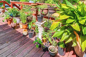 Cozy Appalachian Getaway: 5 Mi to Prospect Peak!