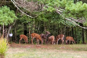 Lovely Moshannon Ground Apartment w/ Fire Pit