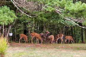 Lovely Moshannon Ground Apartment w/ Fire Pit