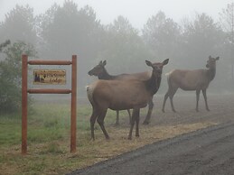 Deck, Hot Tub, Fire Pit: Rustic Cabin in Benezette