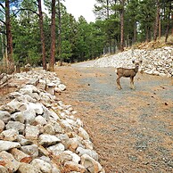 Quiet Ruidoso Hideaway - 2 Mi to Grindstone Lake!
