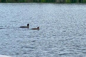 Raymond Retreat w/ 200 Feet of Private Beach!