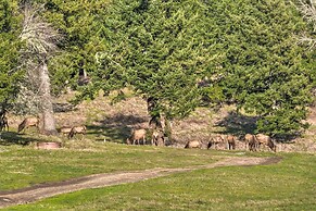 Brookings Vacation Rental Lodge on 88 Acres!