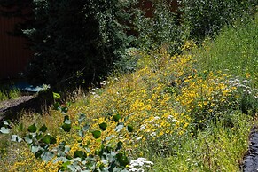 Brian Head Condo: Steps to Giant Steps Ski Lodge