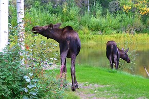 Riverside Log Cabin: On-site Aurora Viewing!