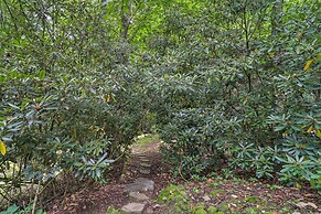 Peaceful 'rocky Creek Cabin' w/ Hot Tub & Views!