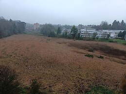 Departamento céntrico Isla teja 19