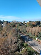 Departamento céntrico Isla teja 19