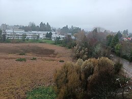 Departamento céntrico Isla teja 19