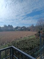 Departamento céntrico Isla teja 19