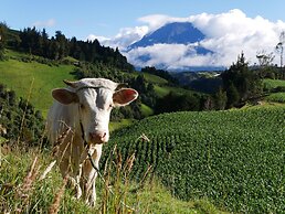 EL CEDRO SOÑADO