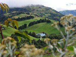 EL CEDRO SOÑADO