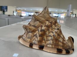 Pousada Donna Maraka