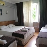 dolphin hotel