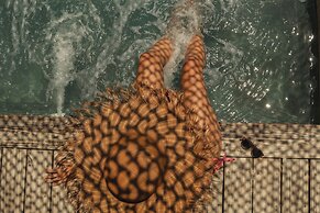 Makani Luxury Wanderlust