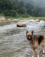 The Ayali Riverside Resort Rishikesh