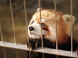 Toyoko Inn Tokuyama-eki Kita-guchi