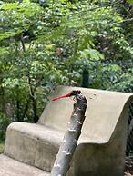 Moksha at Kitulgala Rainforest Boutique