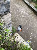 Moksha at Kitulgala Rainforest Boutique
