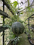 Moksha at Kitulgala Rainforest Boutique