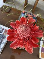 Moksha at Kitulgala Rainforest Boutique