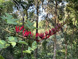 Moksha at Kitulgala Rainforest Boutique