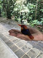 Moksha at Kitulgala Rainforest Boutique