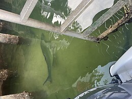 Sunny Waterside A in Dania Beach