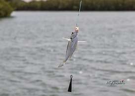 Seaview 1-bed Suite on Cape Point Beach, Bakau