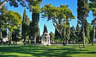 Levelup Apartment Split