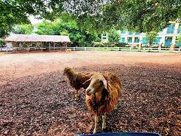 Wellness World Khao Yai